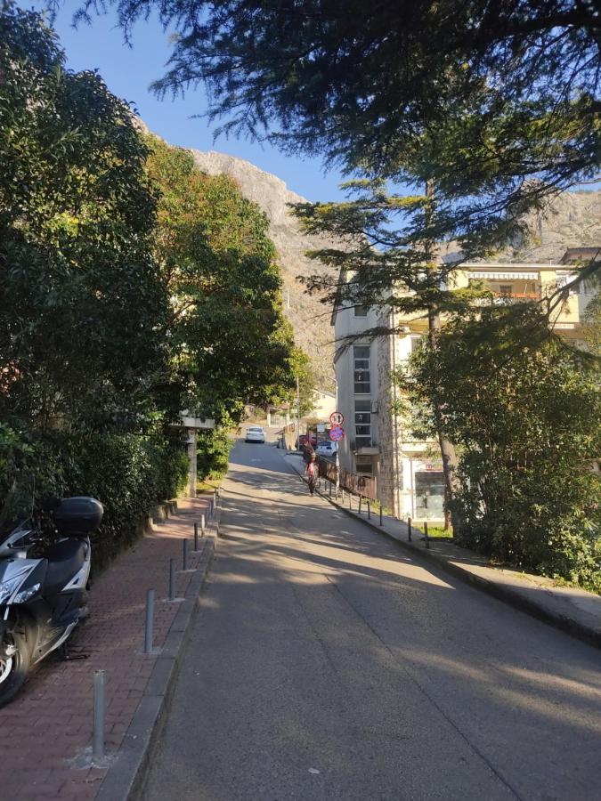 Apartment Oaza Kotor Eksteriør billede