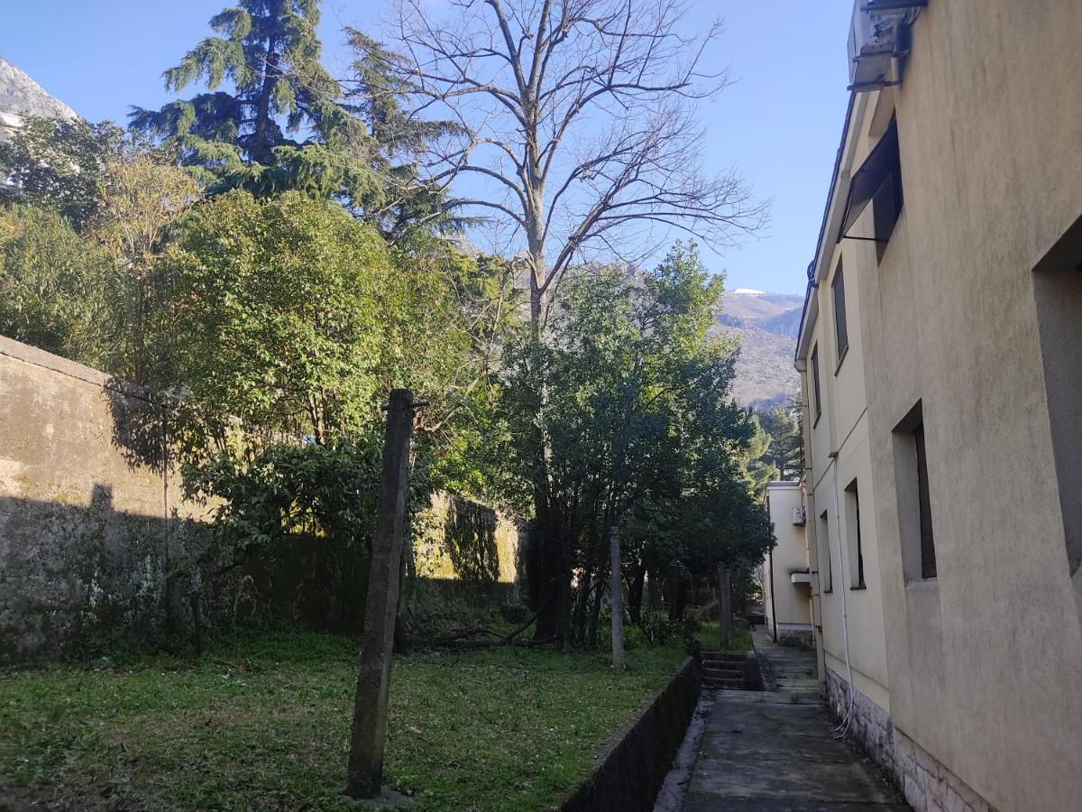 Apartment Oaza Kotor Eksteriør billede