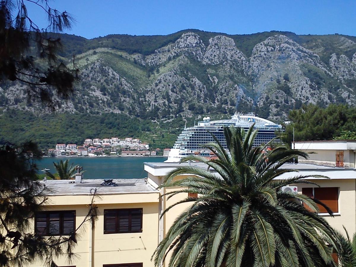 Apartment Oaza Kotor Eksteriør billede