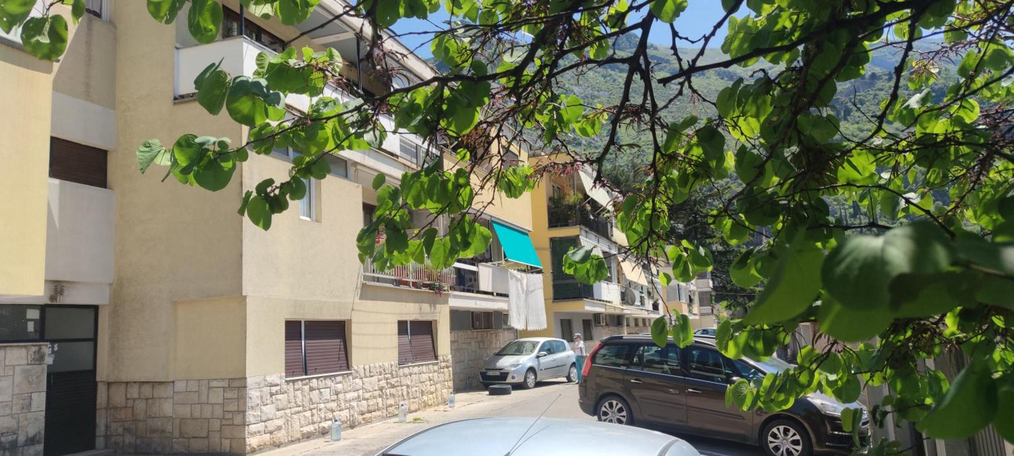 Apartment Oaza Kotor Eksteriør billede